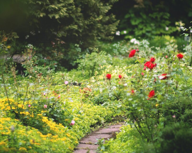 Os jardins suspensos de Lisboa: Uma beleza verdejante no coração da cidade