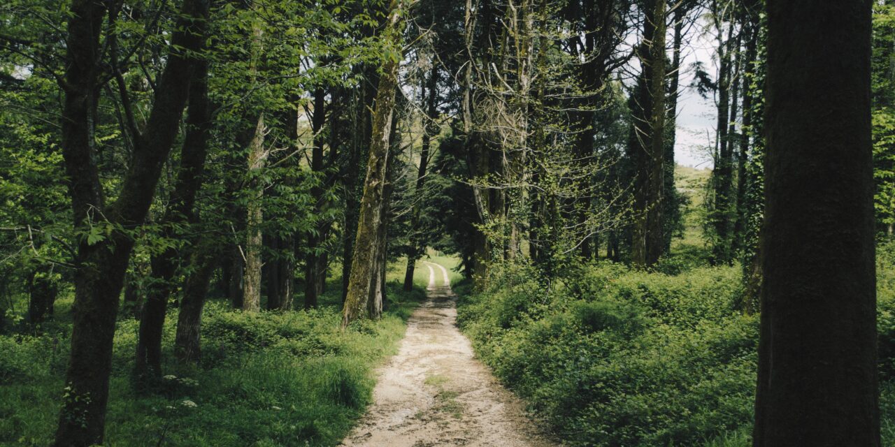 Parques Naturais em Portugal: descubra lugares escondidos do Ecoturismo