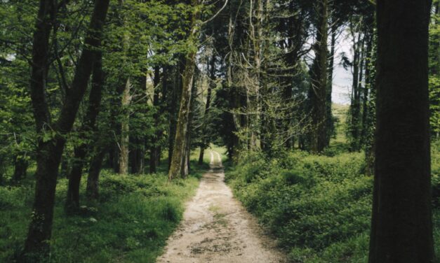 Parques Naturais em Portugal: descubra lugares escondidos do Ecoturismo
