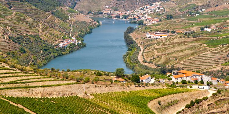 melhores destinos portugal - douro