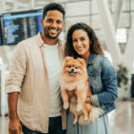 Como levar pets para Portugal sem dor de cabeça