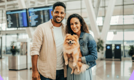 Como levar pets para Portugal sem dor de cabeça